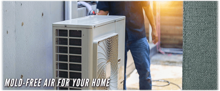 HVAC Mold Removal Sterling VA